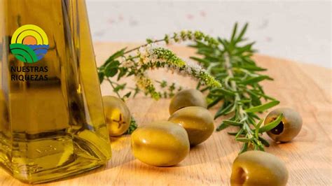 investigadores demuestran que el aceite de oliva virgen extra puede revertir el daño hepático