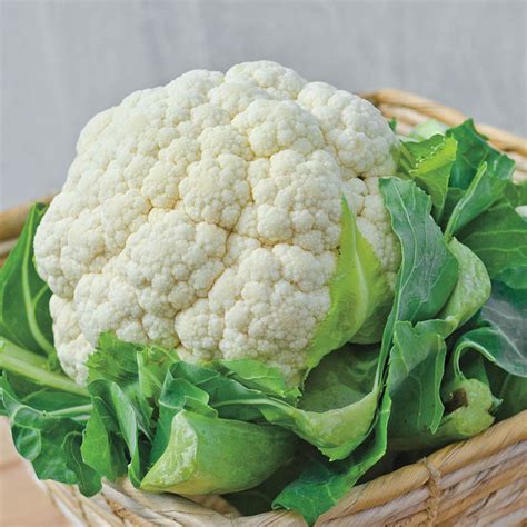 How To Keep Cauliflower White In The Garden Fresh Cauliflower Keep