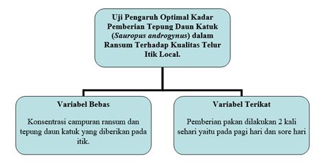 Cara Membuat Kerangka Konseptual Penelitian Kualitatif Imagesee