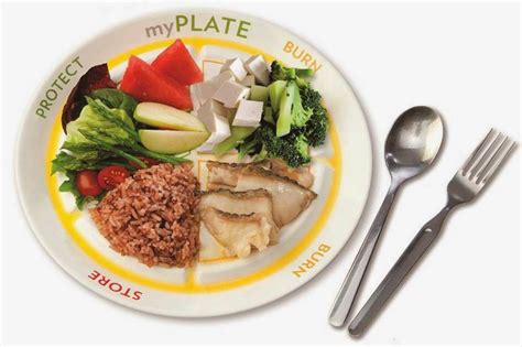 Resepi makanan sihat ini juga sesuai untuk resepi makanan diet. Cadangan Pemakanan Diet Seimbang Orang Yang Ingin ...