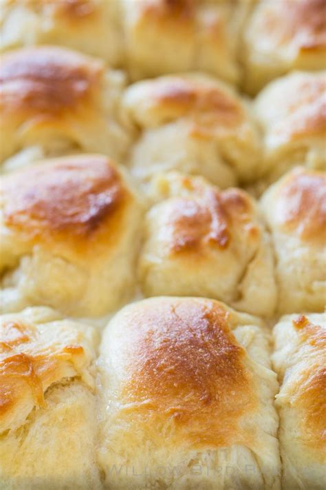 easy yeast rolls you must try willow bird baking recipe easy yeast rolls yeast rolls