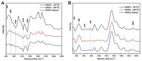 Ftir A And Raman B Spectra Of Naked Fe O Mnps And Functionalized