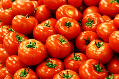 Hd Wallpaper Tomato Lot Tomatoes Tomatoes Vegetable Food