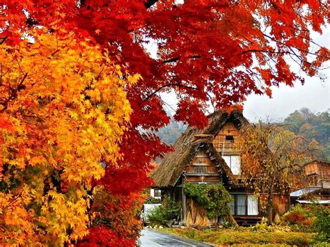 Autumn In Japan Japan Trees House Autumn Hd Wallpaper Peakpx