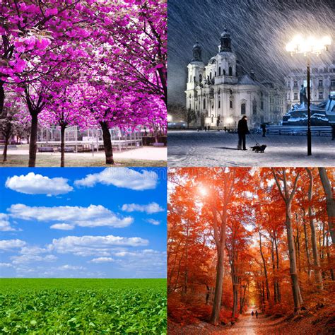 Four Seasons In Nature Stock Image Image Of Flower Creative 7455763