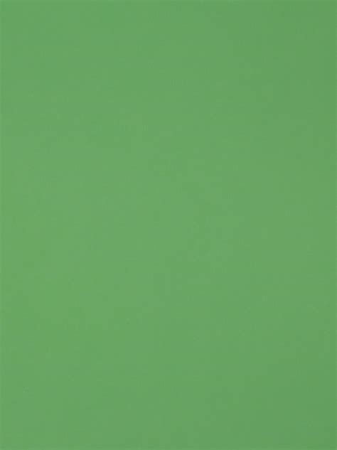 Pale Green Plain Light Green Background Canvas Brah