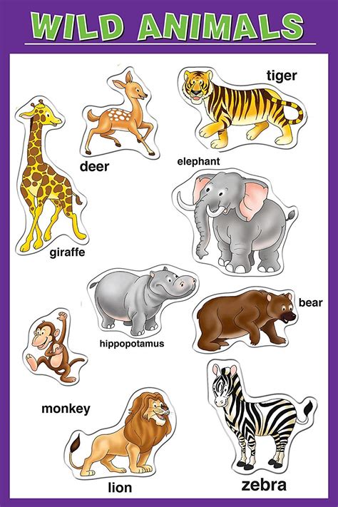 100yellow Matte Finish Wild Animal Name Kids Learning