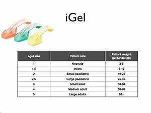 Igel Airway Size Chart
