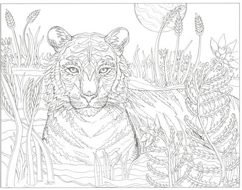 This Will Print On 11x17 Just As Nice As 85x11 Blank Coloring Pages Tiger Poster Poster