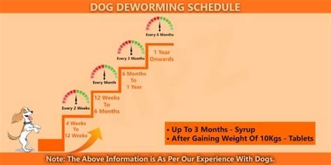 Vaccine and deworming schedule for puppies up to 16 weeks old. What is the deworming schedule for dogs? - Quora