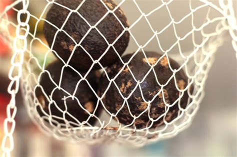 Ever wondered how to freeze avocado? Preserve Avocados in the Freezer for Fresh Avocado All Year