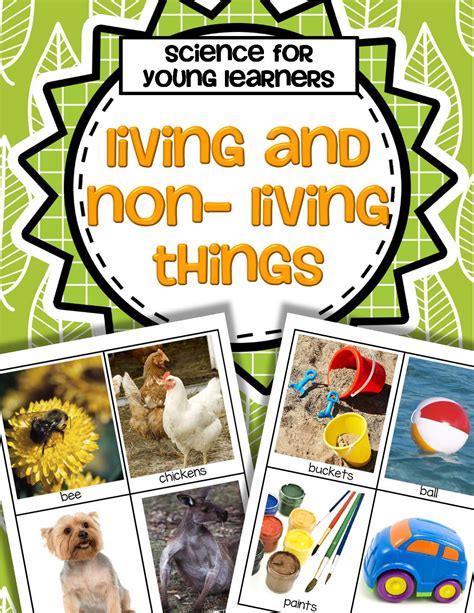 Living And Non Living Things Sorting Activity