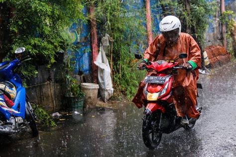 Monyet pakai jas hujan dibanyak video yang beredar menjadi viral #monyet #hujan #jashujan. Jas Hujan adalah Salah Satu Penemuan Penting di Dunia yang Tadinya Dibuat dari Jerami | Paragram.id