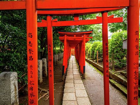 Nezu Jinja Shrine The Famous Shinto Shrine In Tokyo Bunkyo Photograph