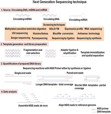 Figure Showing An Overview Of The Next Generation Sequencing Technique