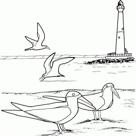 Lighthouse coloring pageimages of lighthouse coloring page sabadaphnecottage, source coloring pages for preschoolers #lighthouse coloring pages printable #michigan lighthouse coloring pages #pharos lighthouse coloring page #realistic lighthouse coloring pages #simple. Realistic Lighthouse Coloring Pages - Coloring Home