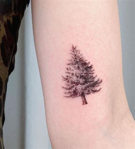 Tiny Pine Tree Tattoo