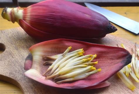 Know The Amazing Health Benefits Of Eating Banana Flower How To Buy And Store It