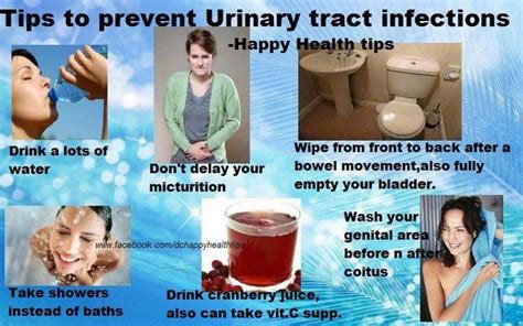 Tips To Prevent Urinary Tract Infections Urinary Tract Infection Urinary Tract Prevention