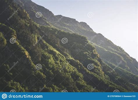 Mountain Rocky Slope Overgrown With Bushes And Trees In The Mountains