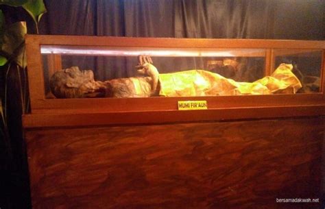 We did not find results for: Inilah Foto Mumi Fir'aun dan Tongkat Nabi Musa yang ...