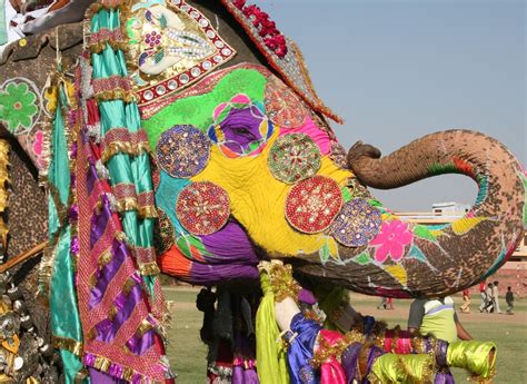 Le Festival Des Eléphants Holi Jaipur Inde Quilaztli Un Petit