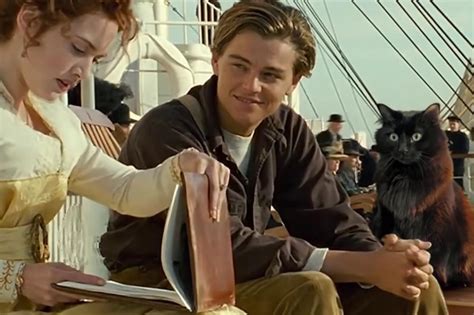 Titanic Re Cut With Cat Opposite Leo Dicaprio Goes Viral