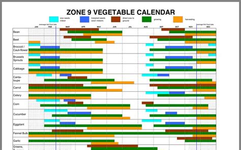 Zone 9 Planting Guide Small Space Gardening Zone 9 My Happy Place