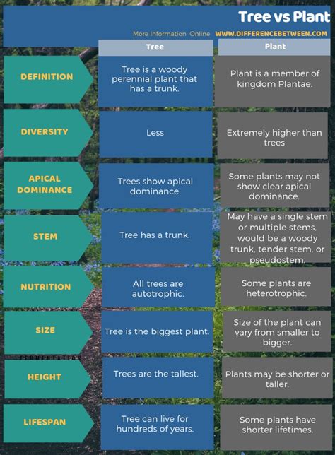 Difference Between Tree And Plant Compare The Difference Between