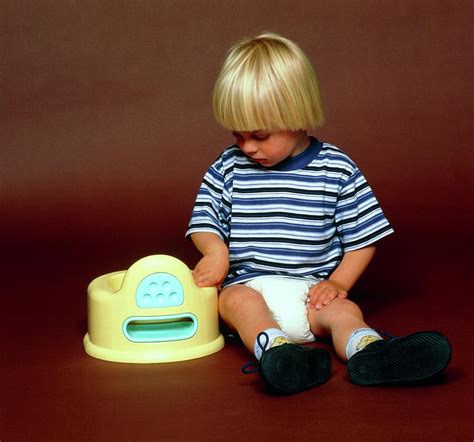 Two Year Old Boy During Potty Training Photograph By Alex Bartel