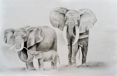 Elefante Dibujo A Lapiz Cómo Dibujar Un Elefante Realista A Lápiz