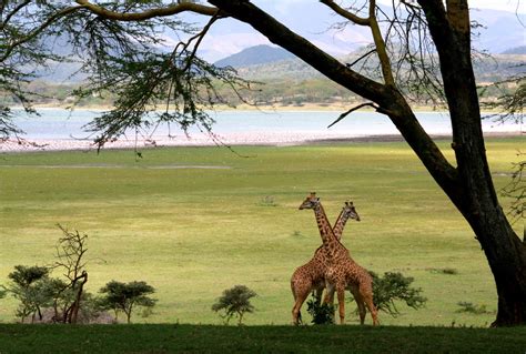 Visit The Great Rift Valley In Kenya Luxurious Safaris