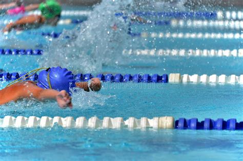 Nuotatori Che Nuotano In Un Raggruppamento Fotografia Stock Immagine Di Atleta Nuotatore