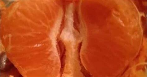 weed smokers lungs after he died from weed smoking imgur