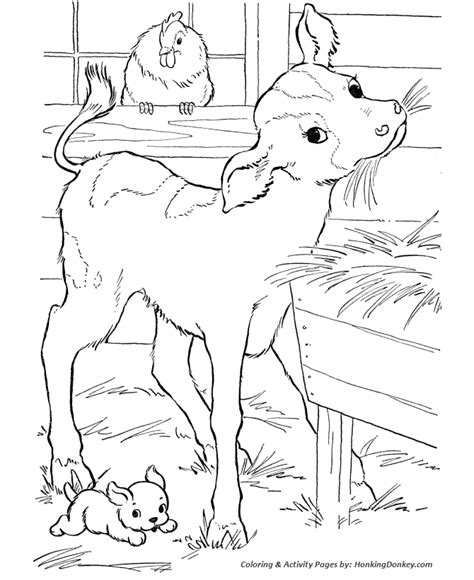 Free Cow Printable Coloring Pages, Download Free Cow Printable Coloring Pages png images, Free