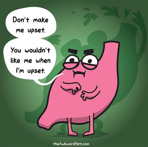 Everyday Struggles Of Our Organs In 20 Funny Comics Awkward Yeti