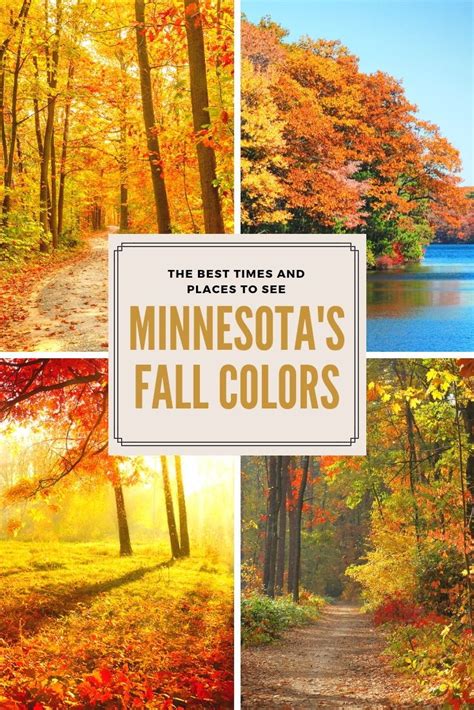 Plan Out Your Fall Color Viewing And Dont Miss The Best Times And Places