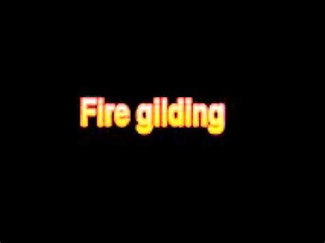 Most animals are afraid of fire. What Is The Definition Of Fire gilding - Medical ...