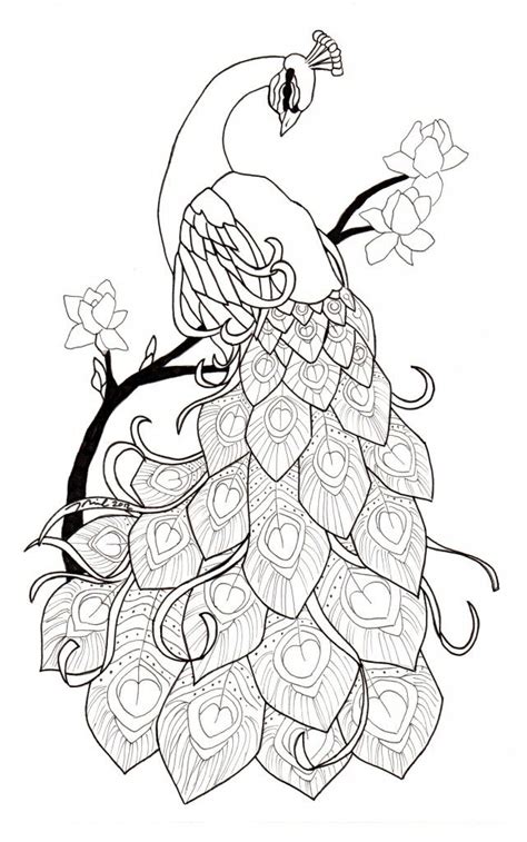 Here are fun free printable peacock coloring pages for children. Pin by Sheryl Waddington on Tattoo | Peacock drawing ...