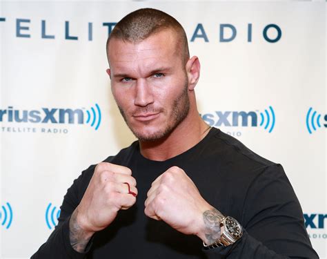 Randy Orton Wwe Wrestler Reaches Divorce Settlement Huffpost