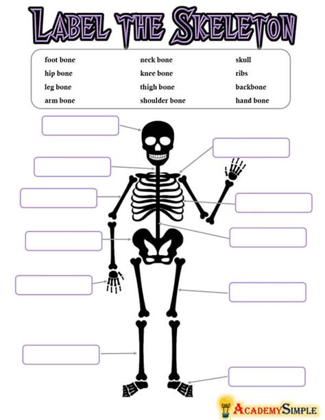 Label The Skeleton Academy Simple
