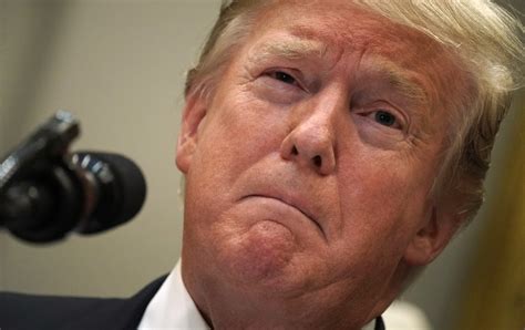 Trump’s Tax Evasion Is an Indictment of American ...