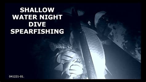 Shallow Water Night Dive Spearfishing Youtube