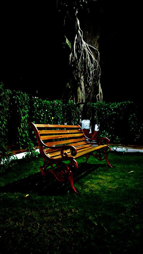 Bench Alone Chair Dark Dark Night Nature Night Hd Phone