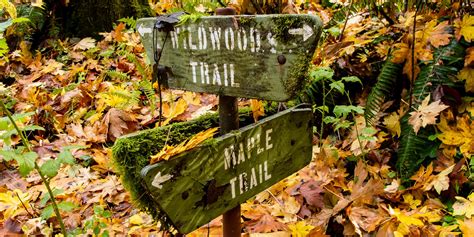 Best Fall Hikes Near Portland Outdoor Project