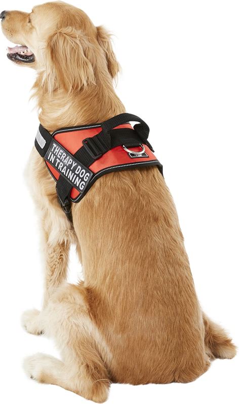 Doggie Stylz Therapy Dog In Training Dog Harness X Large Red
