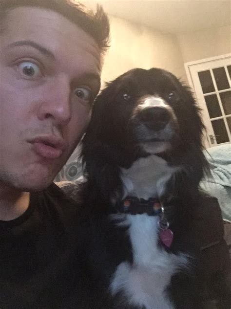 12 Signs You Are A Crazy Border Collie Person