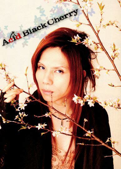 Acid Black Cherry Wiki K Pop Amino