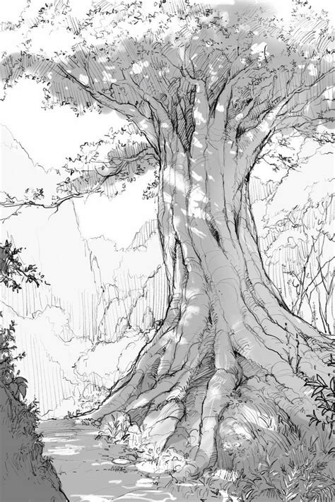Tree drawing simple 2 dead tree drawing simple bahamasecoforum com. Ink and wash tree | Tree drawings pencil