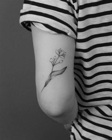 Https://tommynaija.com/tattoo/botanical Horizontal Design For Tattoo